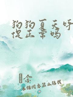 狗狗夏天呼吸急促正常吗 狗狗夏天呼吸急促正常吗