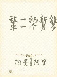 租一辆新能源汽车一个月多少钱
