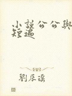 小说公公与儿媳短遍