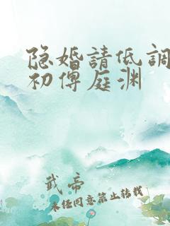 隐婚请低调洛南初傅庭渊