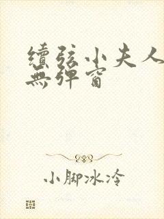 续弦小夫人小说无弹窗