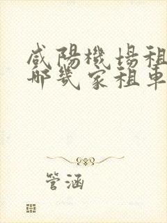 咸阳机场租车有哪几家租车公司
