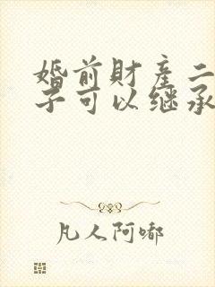 婚前财产二婚孩子可以继承吗