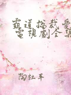 霸道总裁爱上我 电视剧全集免费观看 霸道总裁爱上我 电视剧全集免费观看