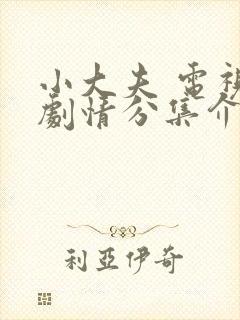 小大夫 电视剧剧情分集介绍