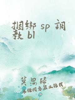 捆绑 sp 调教 bl