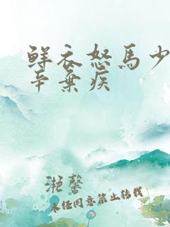鲜衣怒马少年时辛弃疾