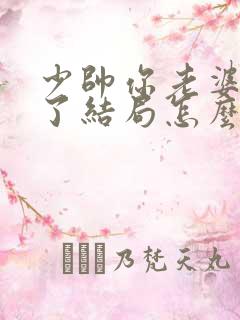少帅你老婆又跑了结局怎么样