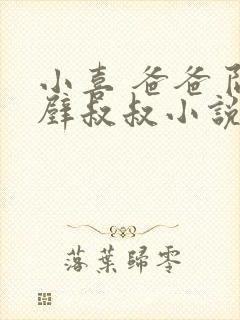 小喜 爸爸 隔壁叔叔小说阅读免费 小喜 爸爸 隔壁叔叔小说阅读免费
