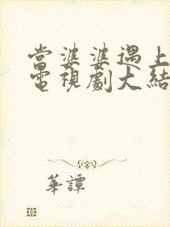 当婆婆遇上的妈电视剧大结局