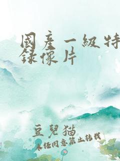 国产一级特黄色录像片