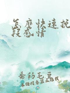 怎么快速挽回一段感情