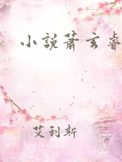 小说萧玄睿云鸾