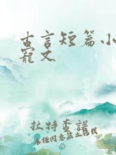 古言短篇小说甜宠文