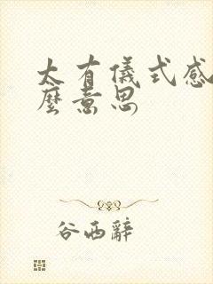 太有仪式感了什么意思