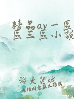 精品av一区二区三区小说