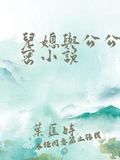 儿媳与公公的秘密小说