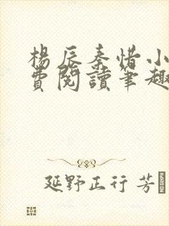 杨辰秦惜小说免费阅读笔趣阁更新