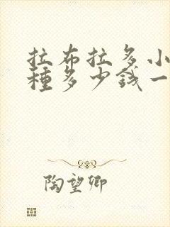 拉布拉多小狗纯种多少钱一只