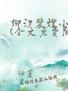 柳汐裴煜小说一(全文免费阅读)