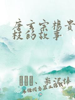唐玄宗杨贵妃荔枝的故事