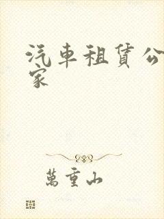 汽车租赁公司哪家