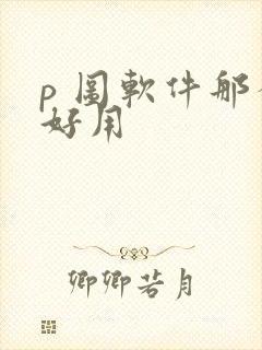 p 图软件那个好用