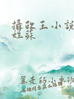 摄政王小说女主姓苏