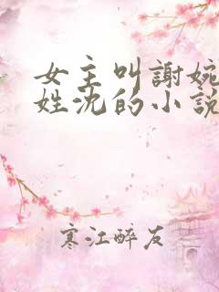 女主叫谢婉男主姓沈的小说