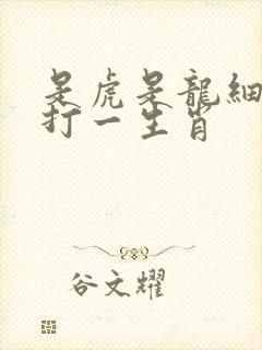 是虎是龙细心想打一生肖