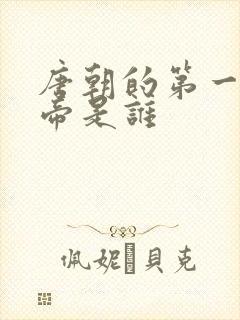 唐朝的第一任皇帝是谁