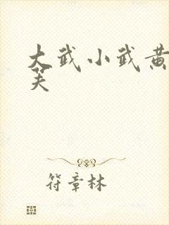 大武小武黄蓉郭芙 大武小武黄蓉郭芙