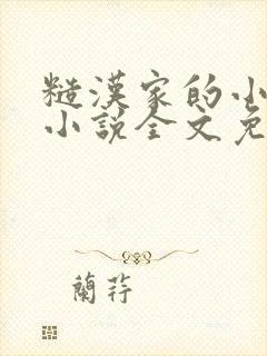 糙汉家的小娇夫小说全文免费阅读