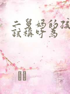 二舅妈的孩子应该称呼为