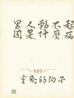 男人勃不起的原因是什么病