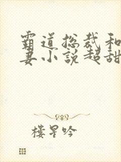 霸道总裁和小娇妻小说超甜文