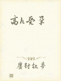 高h受孕