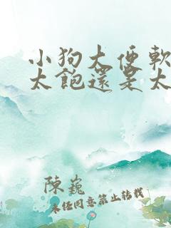 小狗大便软是吃太饱还是太饿