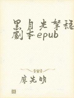 黑月光拿稳be剧本epub