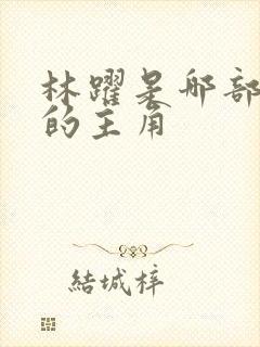林跃是哪部小说的主角