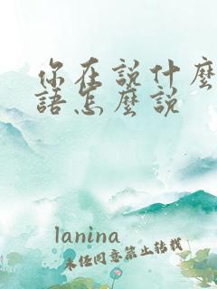 你在说什么用韩语怎么说