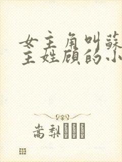 女主角叫苏禾男主姓顾的小说