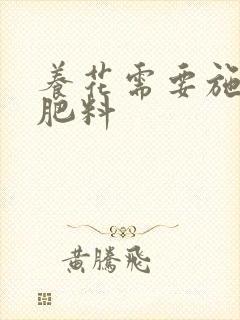 养花需要施什么肥料