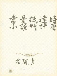 当爱抵达时原著小说叫什么