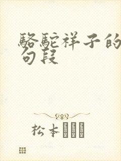 骆驼祥子的精彩句段