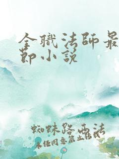 全职法师最新章节小说