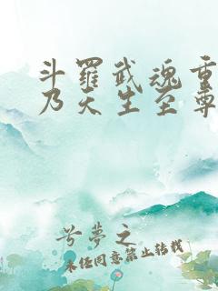 斗罗武魂重瞳吾乃天生至尊