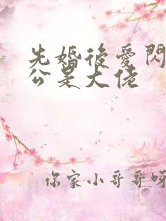 先婚后爱闪婚老公是大佬