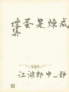 坏蛋是炼成3全集