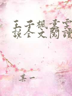 王子枫袁雯洁小说全文阅读